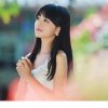 百花争艳的头像
