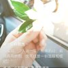 暮然回首（忙碌）的头像