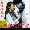 无聊退出停币的头像