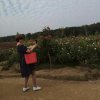 青春如梦的头像