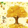 真惜美一天的头像