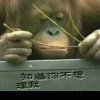 人生无悔<div class=