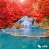 风轻云淡的头像