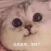 不問歸期的头像