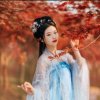 完美的人生的头像