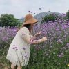 淡淡花落的头像