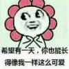 张小俊的头像