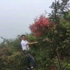 上善若水的头像