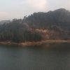 花落、等？15的头像