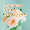 名人退的头像