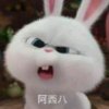 147【尊师啊柠九】的头像