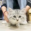 寒川的头像