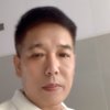 树的头像