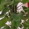 家庭装修ll的头像