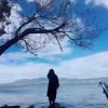 杰布的头像