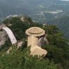 胜哥的头像