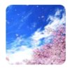 春暖花开的头像