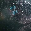 星洛搭档小官人的头像