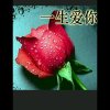 一生爱你，伴你。的头像