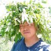 以歌会友，的头像