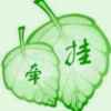 叶子的头像