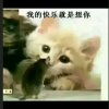 v友的头像