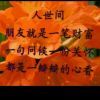 珍惜缘的头像