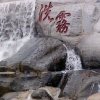 淋雨的头像
