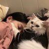 乐乐很懒（退）的头像