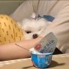 木梓的头像
