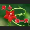 一剪梅的头像