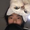无感的头像