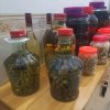 建设家园（装修行业）。欢迎合唱。的头像
