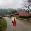秀秀的头像