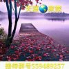 天涯一叶知秋的头像