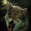 北方狼的头像