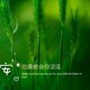 好人一生平安.的头像