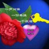 世间颜良的头像