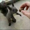 虎哥的头像