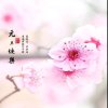 浅笑嫣然的头像