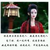 芯颜的月亮湾的头像