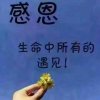 静待花开的头像