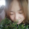 稳稳的幸福的头像