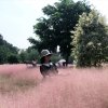 ling梦《暂离》的头像
