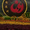 勇哥的头像