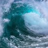 浪飞翔的头像