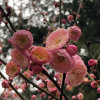  星月♚靖哥的头像