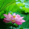 xiexie,zaijianle的头像