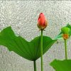 简简单单的头像