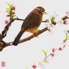 听你唱的歌的头像
